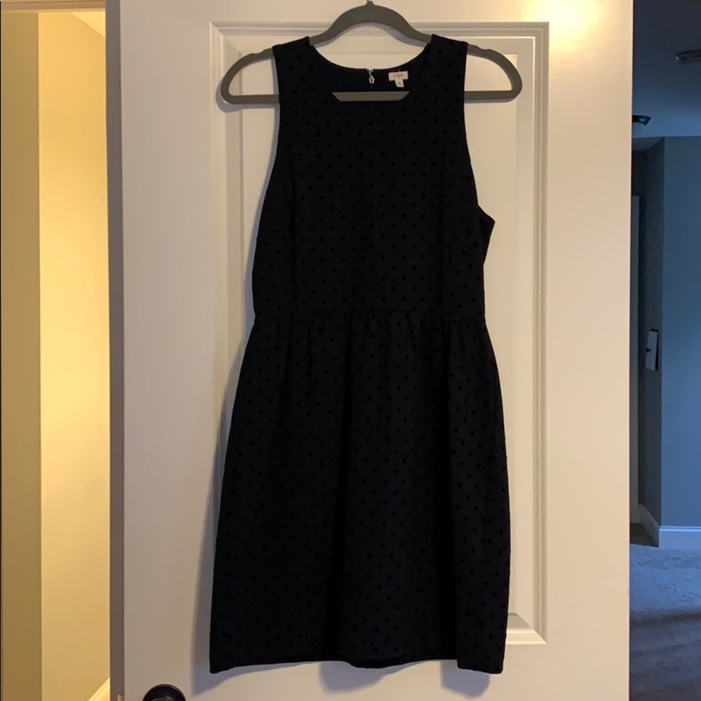 J. Crew Dress